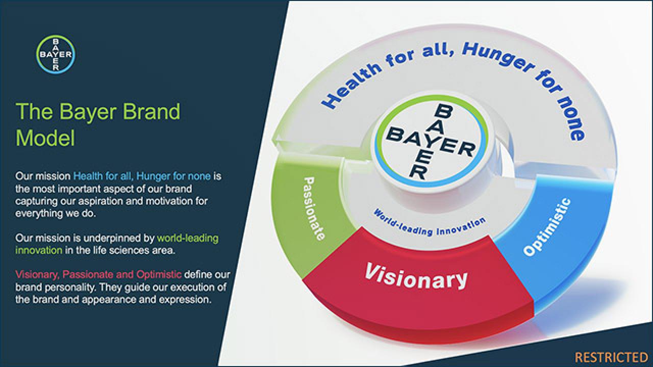 The Bayer Brand Model