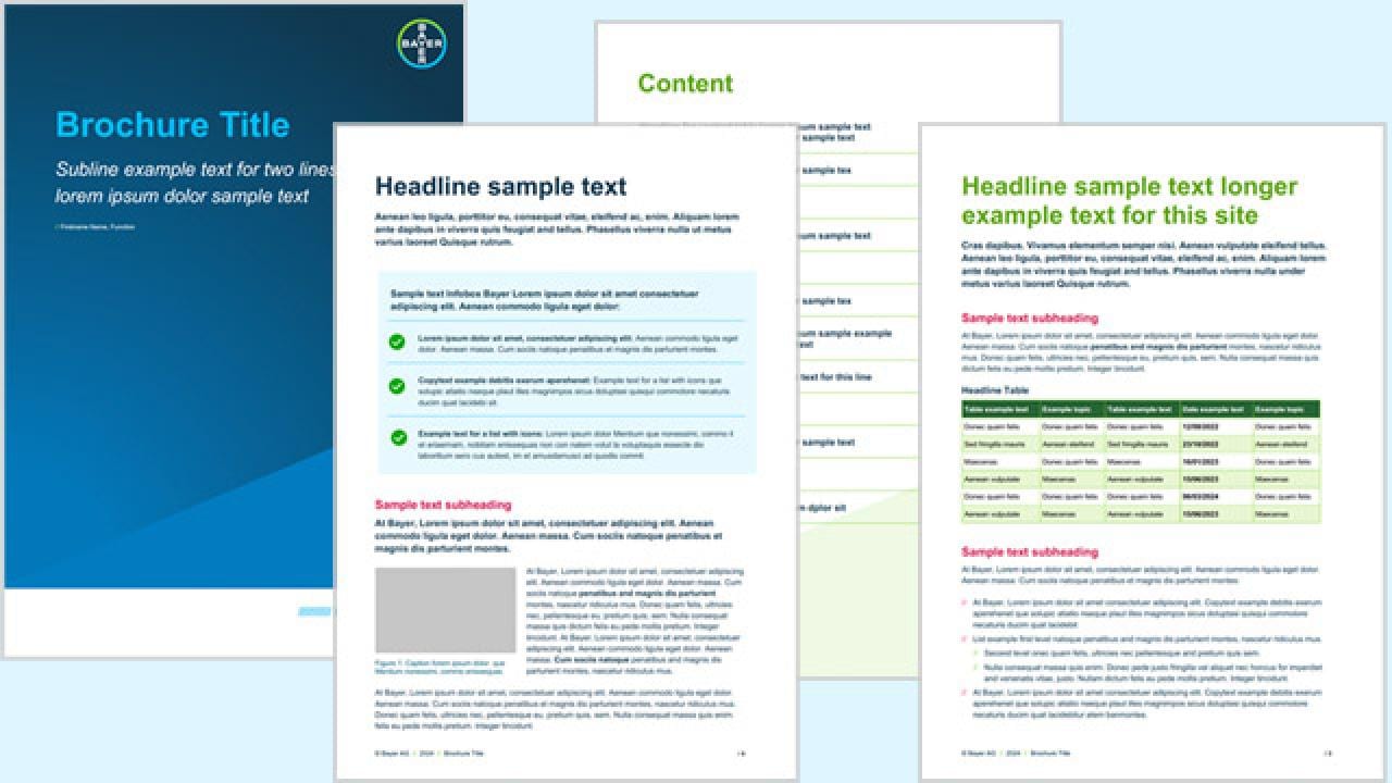 Brochure