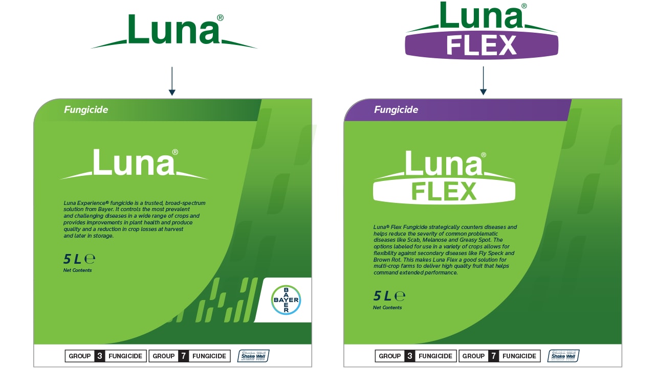 Product Line Extensions
