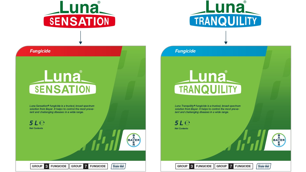 Product Line Application