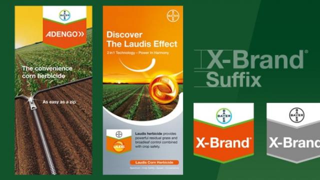 Promotional banners for Adengo and Laudis, corn herbicides by Bayer, with X-Brand Suffix logos in a green background.