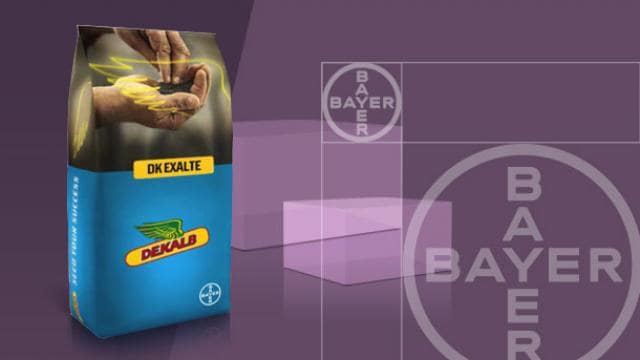 A bag of DEKALB DK EXALTE seed, with Bayer logos in the background on a purple surface.