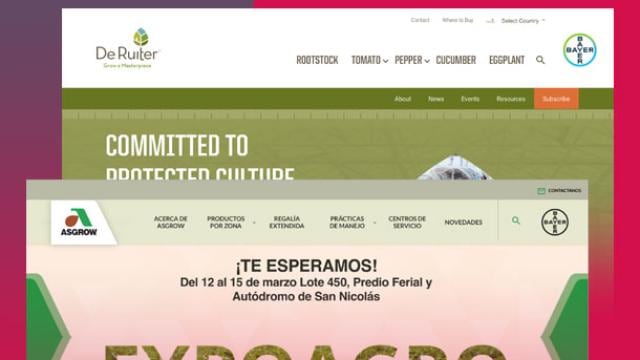 Webpages with De Ruiter and Asgrow logos, featuring texts about agriculture and an event announcement for Expoagro.