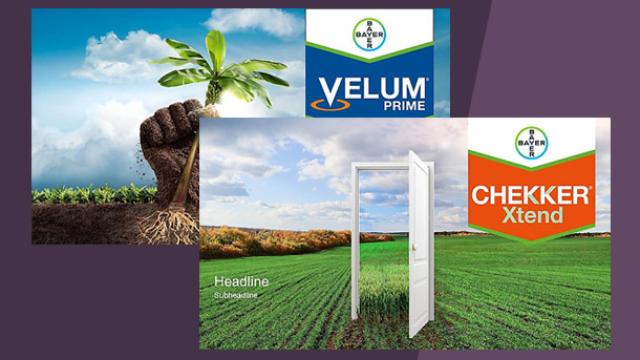 Two Bayer product ads: one for Velum Prime featuring a plant in soil held by a fist, and one for Chekker Xtend with an open door in a field under a cloudy sky.