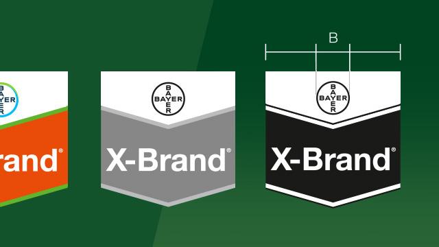 A comparison of three logo designs for "X-Brand" by Bayer in green, gray, and black.