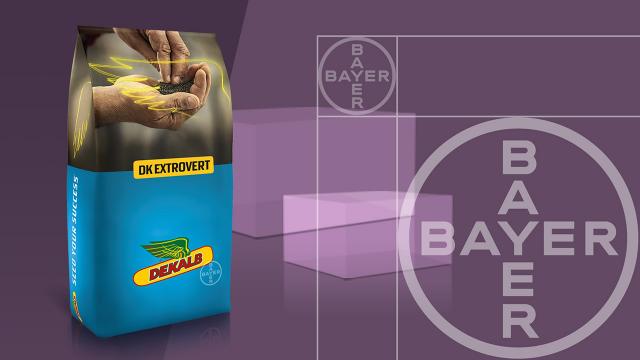 Image of a Bayer-branded Dekalb seed packaging with hands holding seeds, set against a purple background with Bayer logos.
