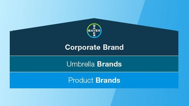 Diagram showing a brand hierarchy with three levels: corporate brand at the top, umbrella brands in the middle, and product brands at the bottom.