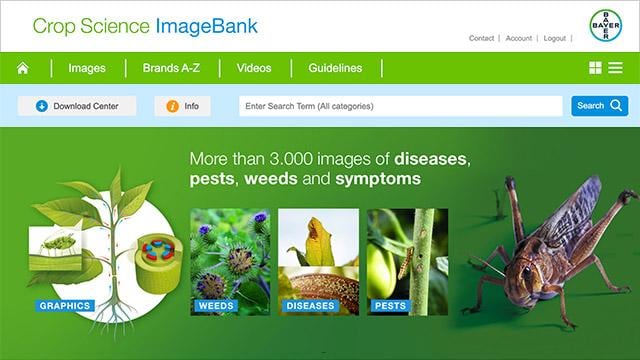 Website screenshot displaying images related to plant diseases, pests, weeds, and symptoms, with navigation options and a search bar.