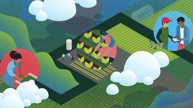 Graphic representation of a farm from above