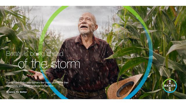 One Bayer Slider 03 Better is being ahead of the storm, Farmer is smiling in the rain in the corn field