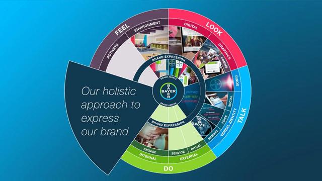 Brand Identity