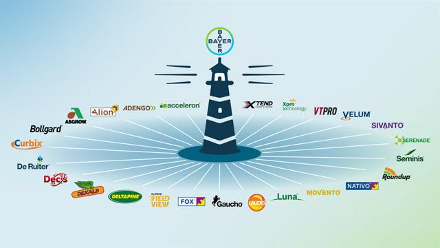 Brand Architecture