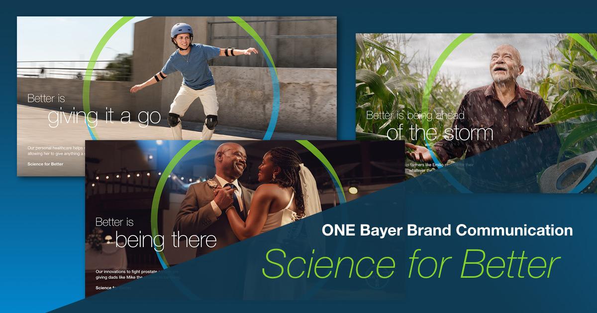 Bayer Brand Communication | Identity Net // Portal