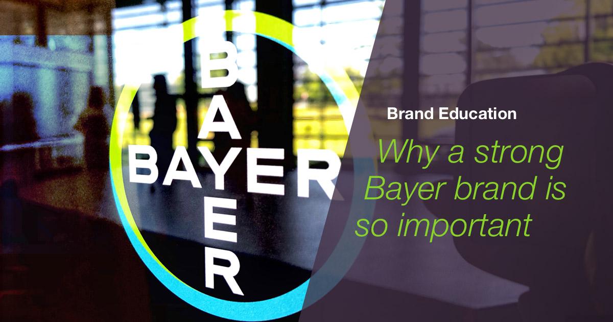 Why A Strong Bayer Brand Is So Important | Identity Net // Portal