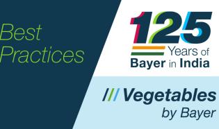 Foto Collage, 125 Years of Bayer in India, Vegetables by bayer and Words "Best Practices"