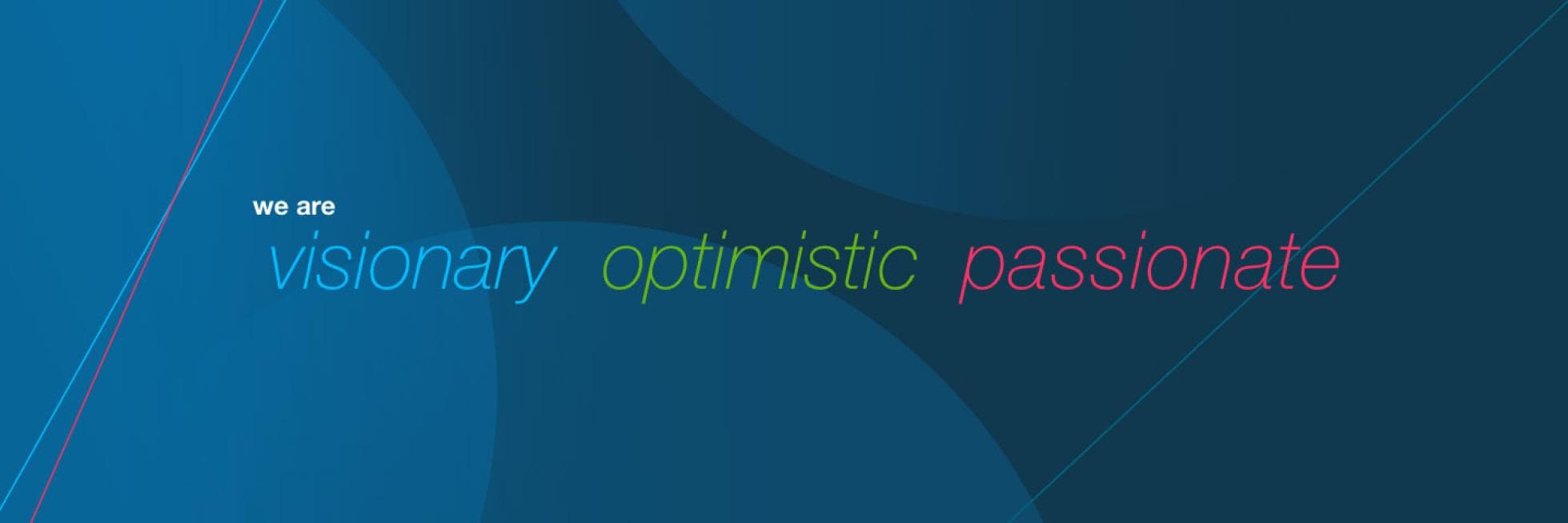 we are visionary, optimistic and passionate