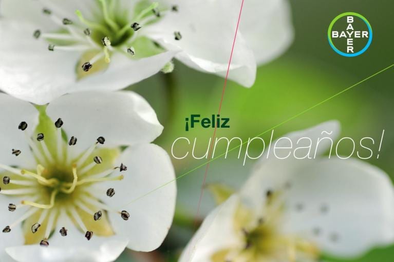 Close-up of white flowers with green centers. Text reads "¡Feliz cumpleaños!" A Bayer logo is in the top right corner.