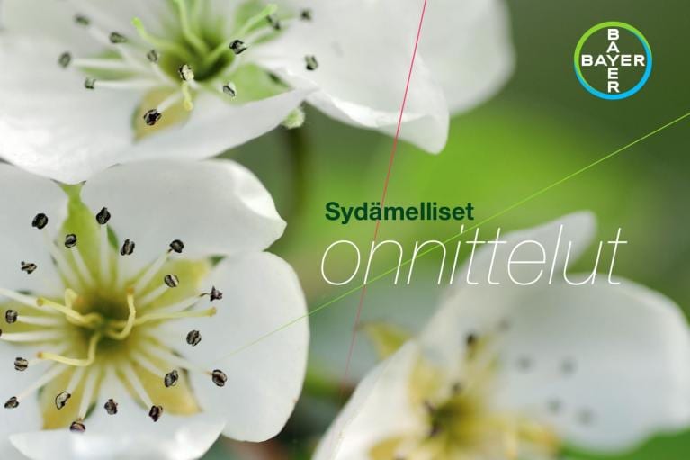 Close-up of white flowers with text "Sydämelliset onnittelut" on a green background and a Bayer logo in the top right corner.