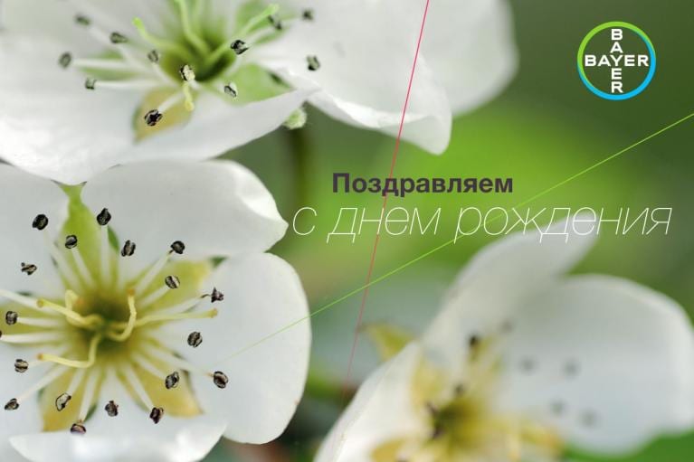 Close-up of white flowers with green centers and the Bayer logo. Text in Russian says "Поздравляем с днём рождения" (Happy Birthday).