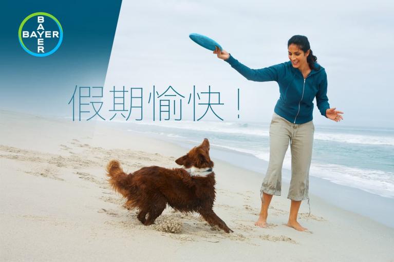 A woman plays frisbee with a brown dog on a beach. The Bayer logo is in the top left corner, and Chinese text is on the image.