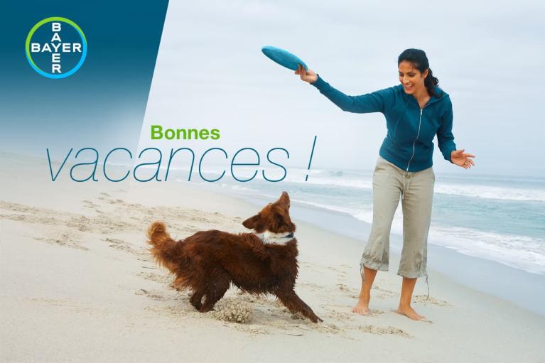 Person playing fetch with a dog on a beach, holding a blue frisbee. "Bonnes vacances!" text and Bayer logo on the image.