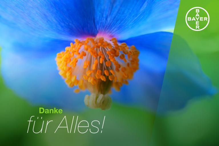Close-up of a blue flower with orange stamen. Text reads "Danke für Alles!" with the Bayer logo in the top right corner.