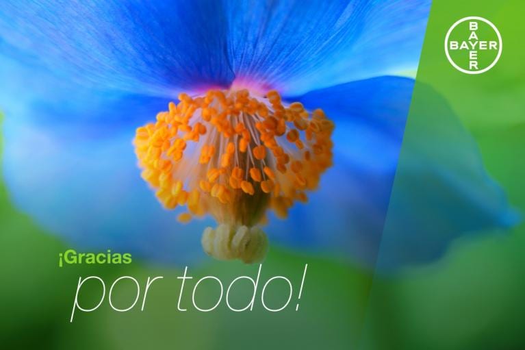 Close-up of a blue flower with orange stamens, overlaid with the text "¡Gracias por todo!" and the Bayer logo in the top right corner.