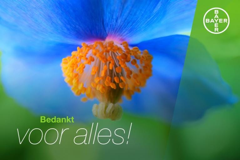Close-up of a vibrant blue flower with orange-yellow stamens, overlaid with "Bedankt voor alles!" text and Bayer logo in the top right corner.