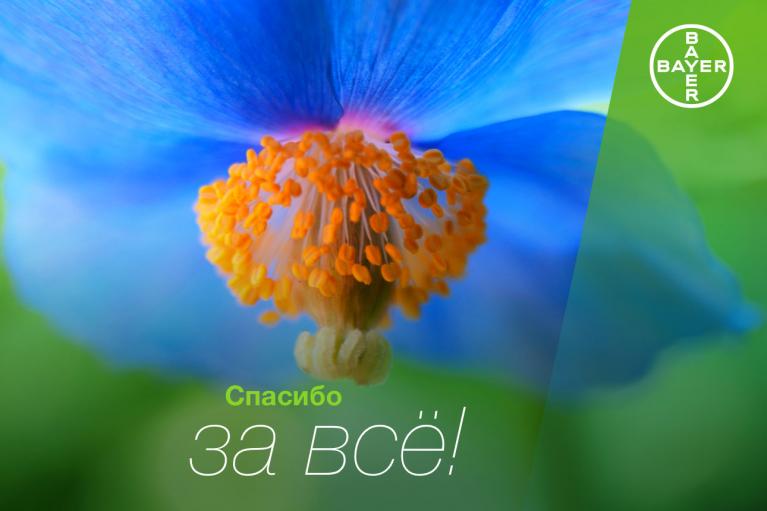 Close-up of a blue flower with orange stamens against a green blurred background. Russian text reads "Спасибо за всё!" with Bayer logo in the corner.