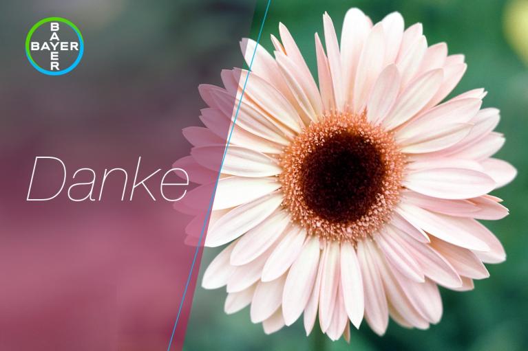 A pink daisy with a brown center is on a blurred background. "Danke" and the Bayer logo are on the left.