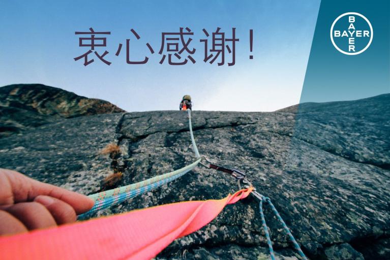 Person climbing a rock face with safety ropes; text in Chinese characters and a Bayer logo are visible.