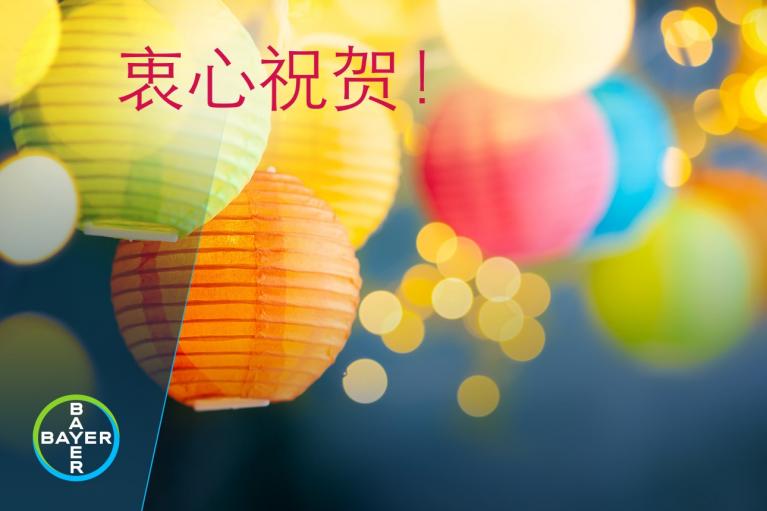 Colorful paper lanterns are hanging with blurred bokeh lights in the background. The Bayer logo is in the bottom left corner, and Chinese characters are written at the top.