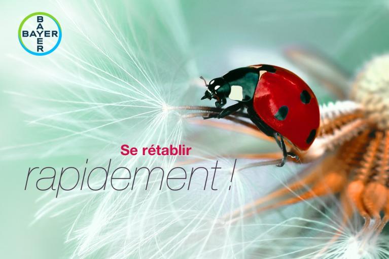A ladybug on a dandelion with the text "Se rétablir rapidement!" and the Bayer logo in the top left corner.