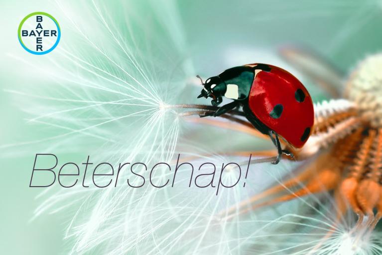 A ladybug on a dandelion seed with the text "Beterschap!" and a Bayer logo in the top left corner.