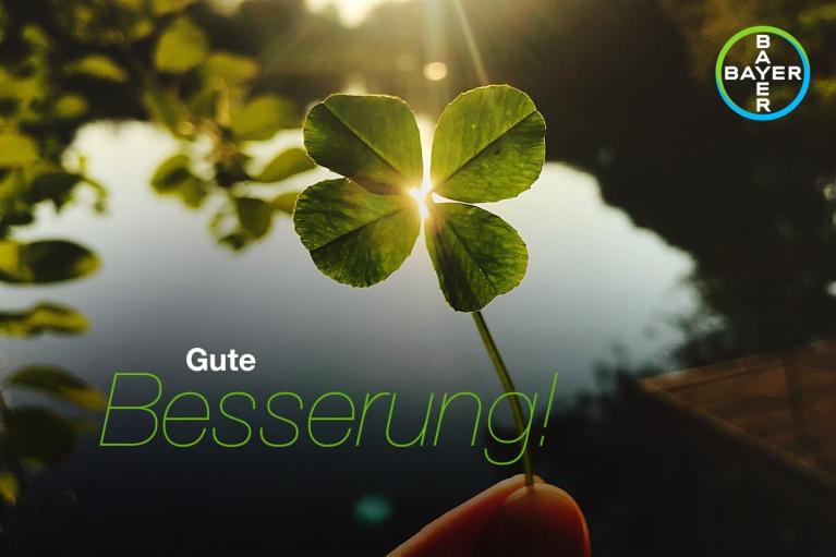 A hand holds a four-leaf clover against a sunlit lake background with the text "Gute Besserung!" and a Bayer logo in the corner.