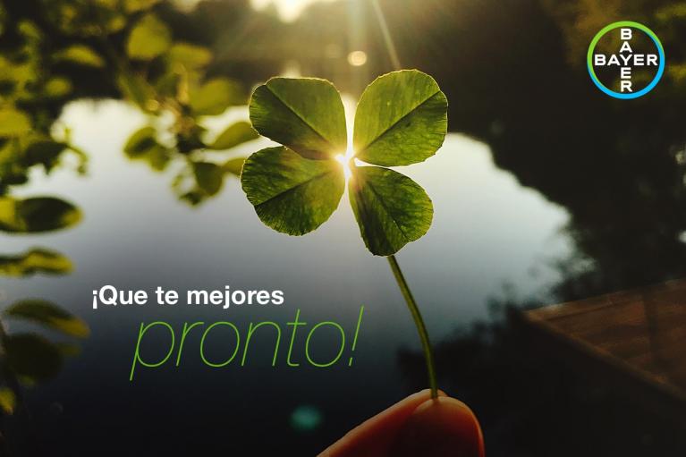 A hand holds a four-leaf clover against a sunlit background near water, with the text "¡Que te mejores pronto!" and a Bayer logo in the top right corner.