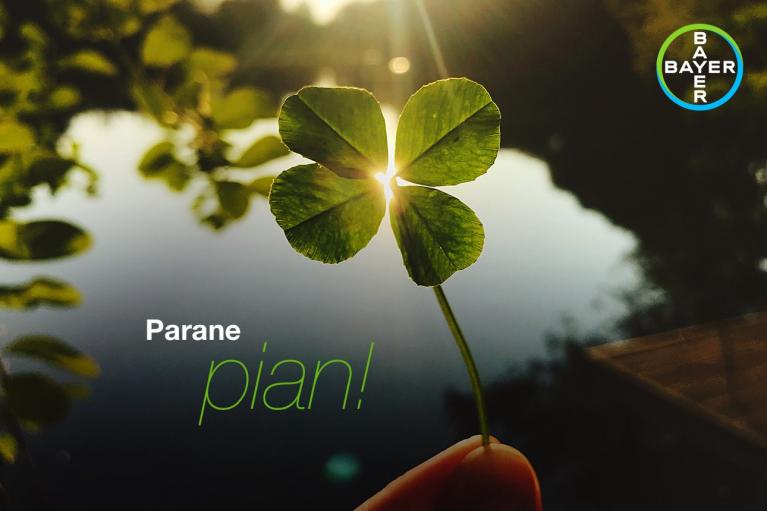 A hand holds a four-leaf clover against a backdrop of a lake with sunlight. Text reads, "Parane pian!" and features a Bayer logo.