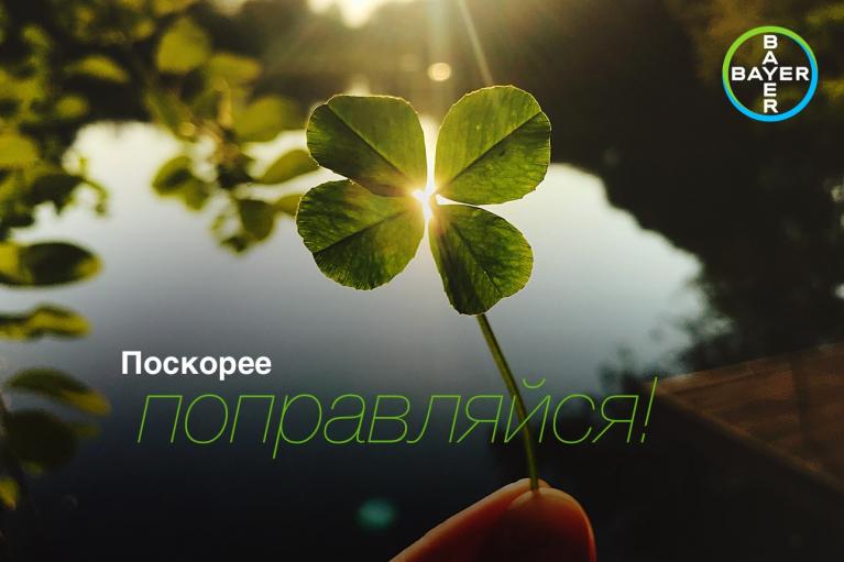 A hand holds a four-leaf clover in sunlight near a lake. Russian text reads "Get well soon!" Bayer logo in the top right corner.