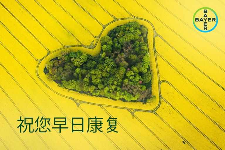 A heart-shaped forest is surrounded by a yellow field with the Bayer logo in the corner. Chinese text reads "祝您早日康复" which means "Wishing you a speedy recovery.