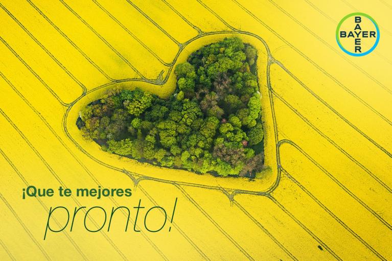 Aerial view of a heart-shaped forest surrounded by yellow fields with "¡Que te mejores pronto!" and Bayer logo in the corner.