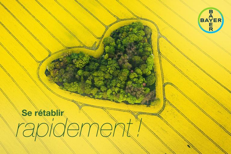 Aerial view of a heart-shaped forest patch surrounded by yellow fields with text "Se rétablir rapidement!" and a Bayer logo.