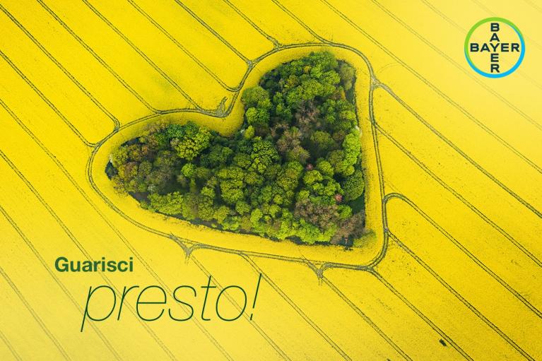 Heart-shaped forest area surrounded by a yellow field, with the text "Guarisci presto!" and a Bayer logo in the corner.