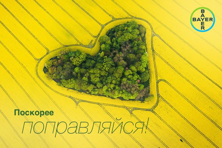 Aerial view of a heart-shaped forest surrounded by yellow fields, with the Bayer logo in the top right corner and Russian text at the bottom.