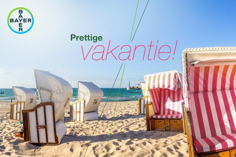 Beach scene with striped beach chairs, sand, and a calm sea. "Prettige vakantie!" text is overlaid with the Bayer logo in the corner.