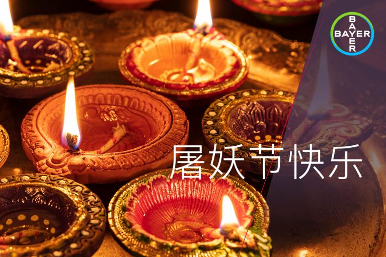 Colorful diya lamps are lit in celebration on a festive table setting with the Bayer logo and Chinese characters wishing happiness for a traditional festival.