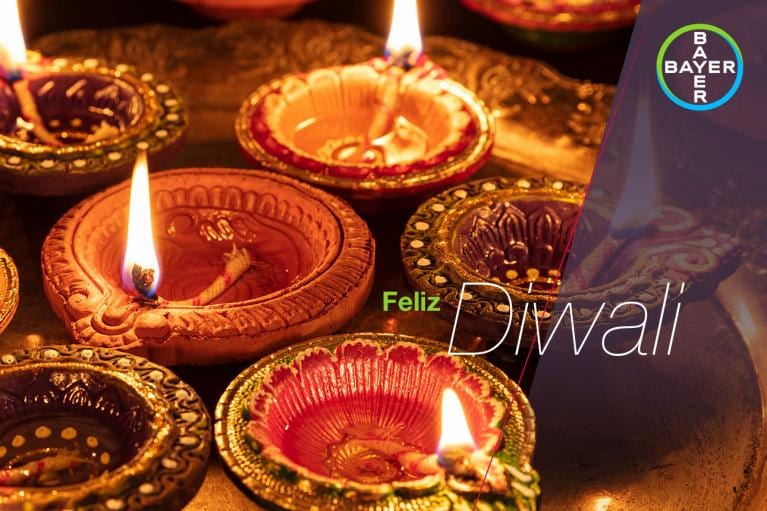 Lit oil lamps with bokeh effect. Text reads "Feliz Diwali" alongside a Bayer logo.