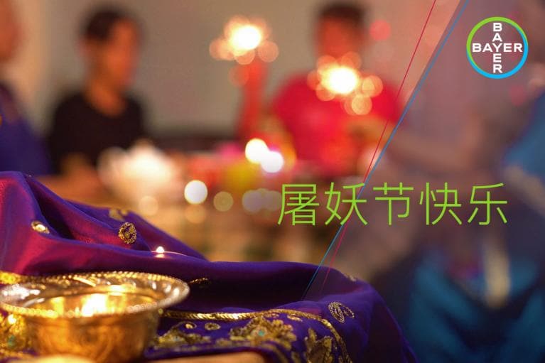 A festive gathering with blurred people in the background and Chinese characters on the right. The Bayer logo is in the top corner.