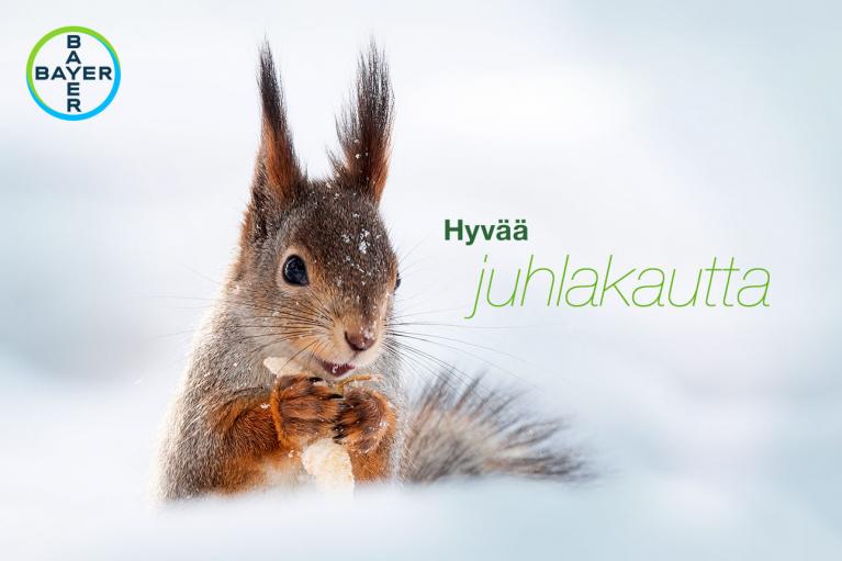 A squirrel holds food in snowy surroundings next to Finnish text "Hyvää juhlakautta" and the Bayer logo.
