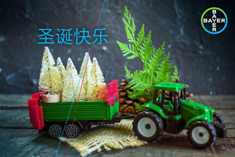Toy tractor pulling a trailer with small Christmas trees and pine cones; blue Chinese text and Bayer logo in the background.