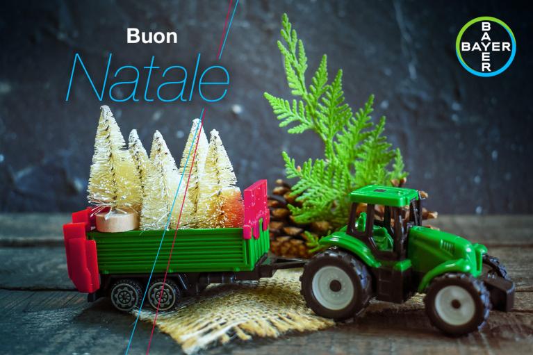 Toy green tractor with a trailer carrying miniature Christmas trees, next to a pine cone and fern, with "Buon Natale" text.